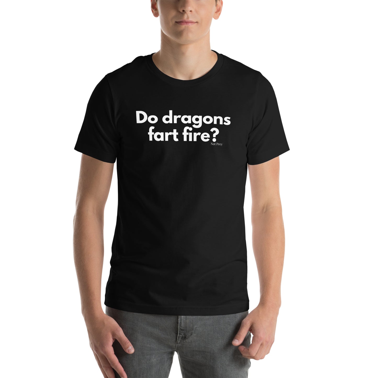 Do dragons fart fire? Unisex t-shirt by Not Prey®