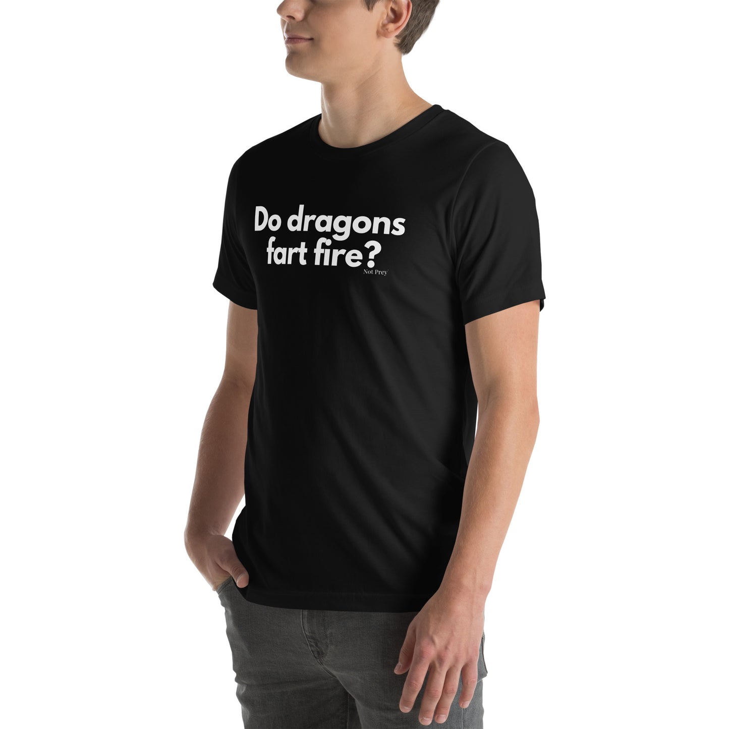 Do dragons fart fire? Unisex t-shirt by Not Prey®