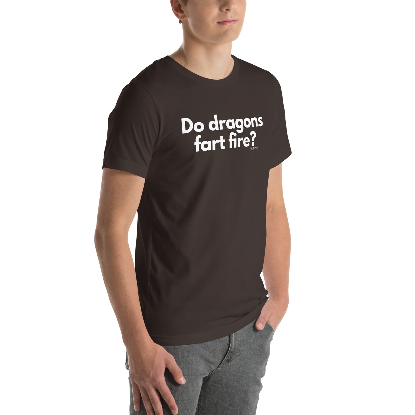 Do dragons fart fire? Unisex t-shirt by Not Prey®