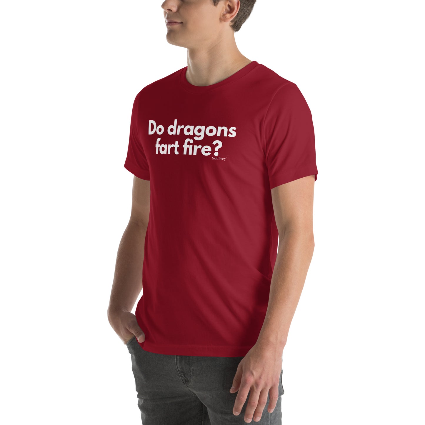 Do dragons fart fire? Unisex t-shirt by Not Prey®