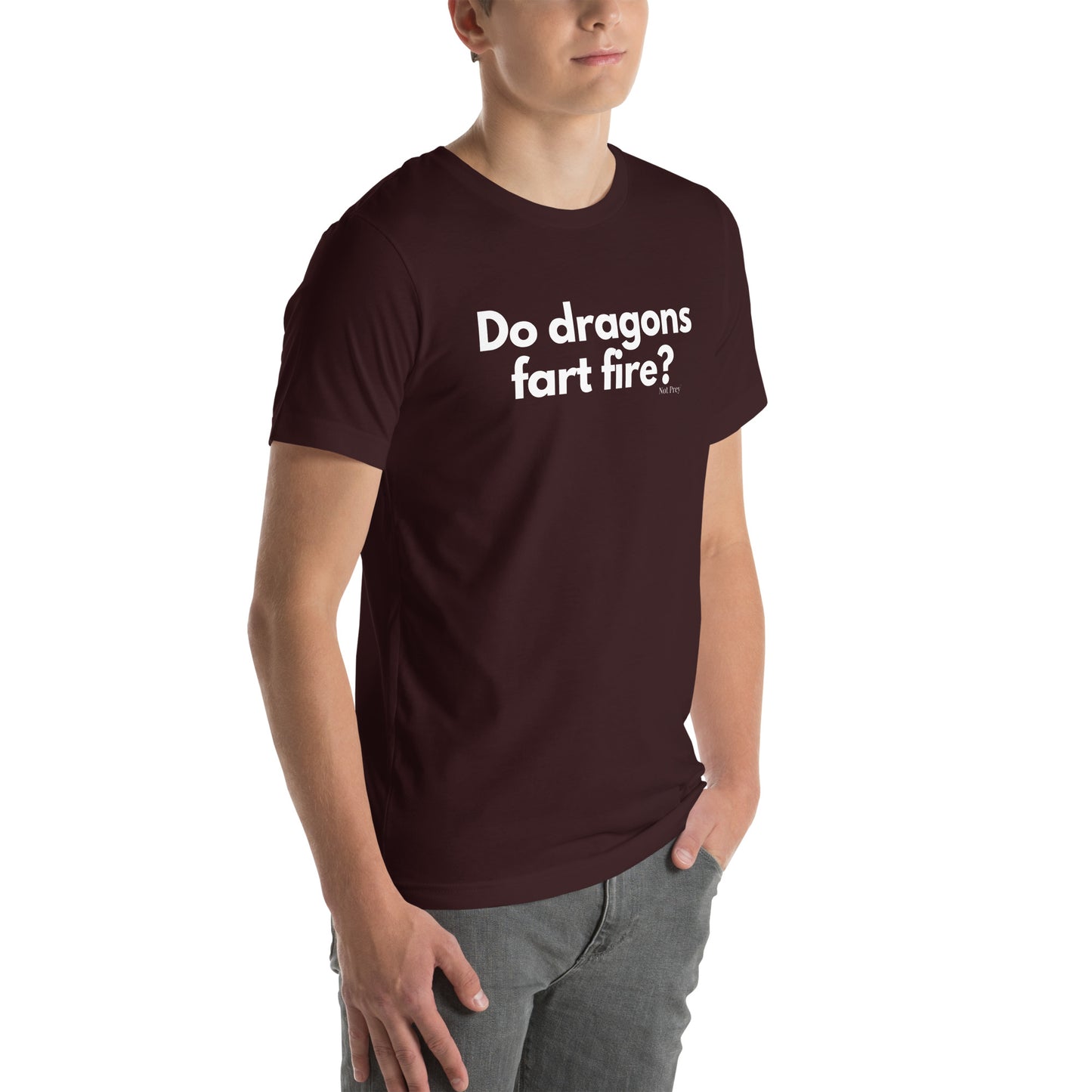 Do dragons fart fire? Unisex t-shirt by Not Prey®