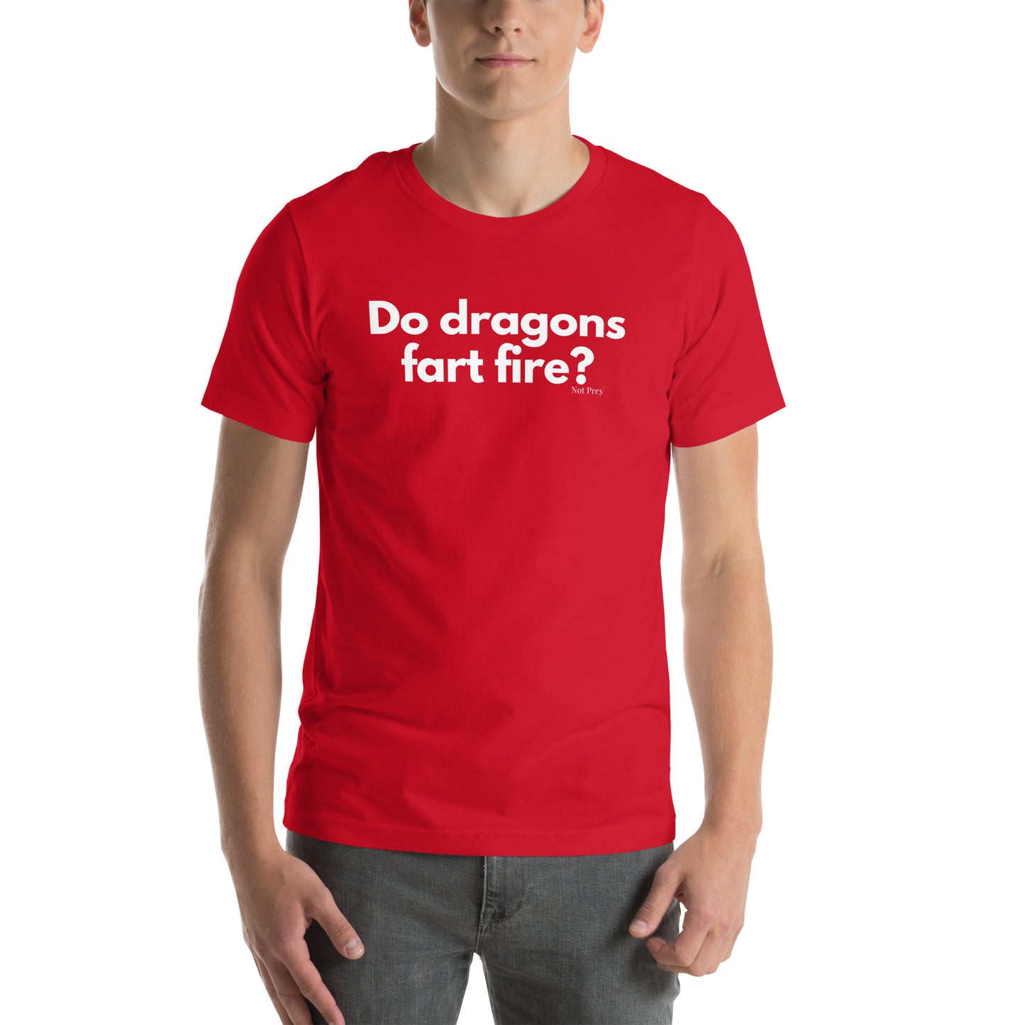 Do dragons fart fire? Unisex t-shirt by Not Prey®