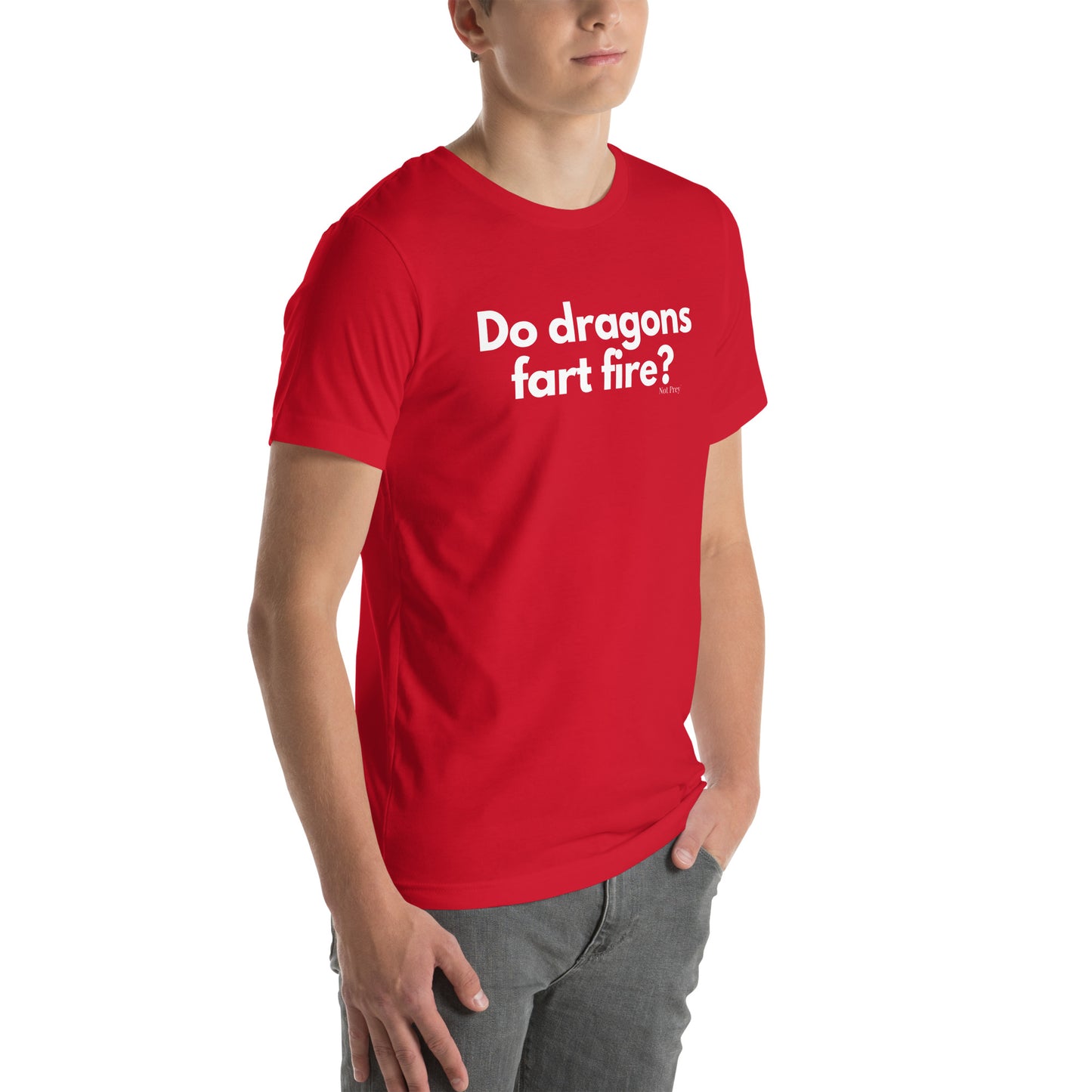 Do dragons fart fire? Unisex t-shirt by Not Prey®