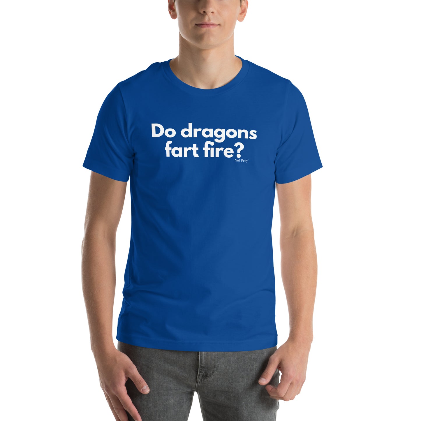 Do dragons fart fire? Unisex t-shirt by Not Prey®